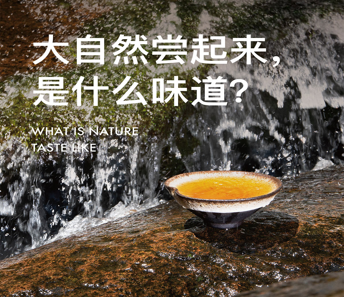 野放茶