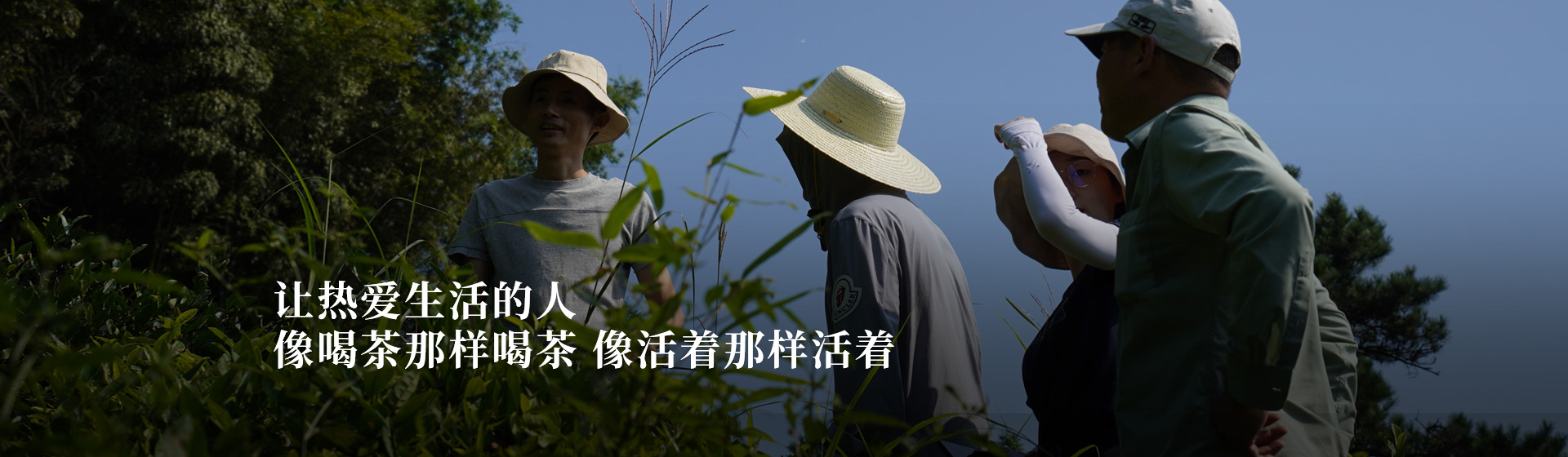 知野上 让热爱生活的人 像喝茶那样喝茶