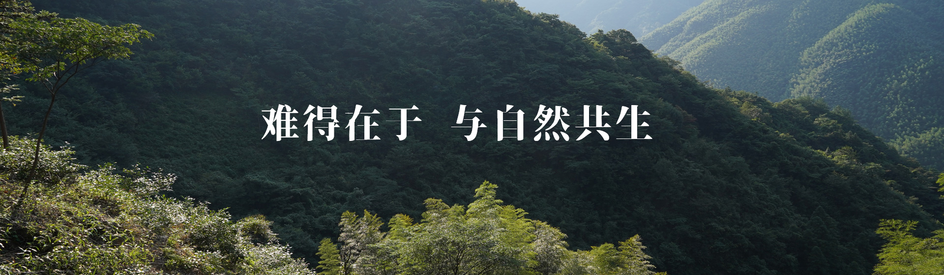 知野上 难得在于 与自然共生
