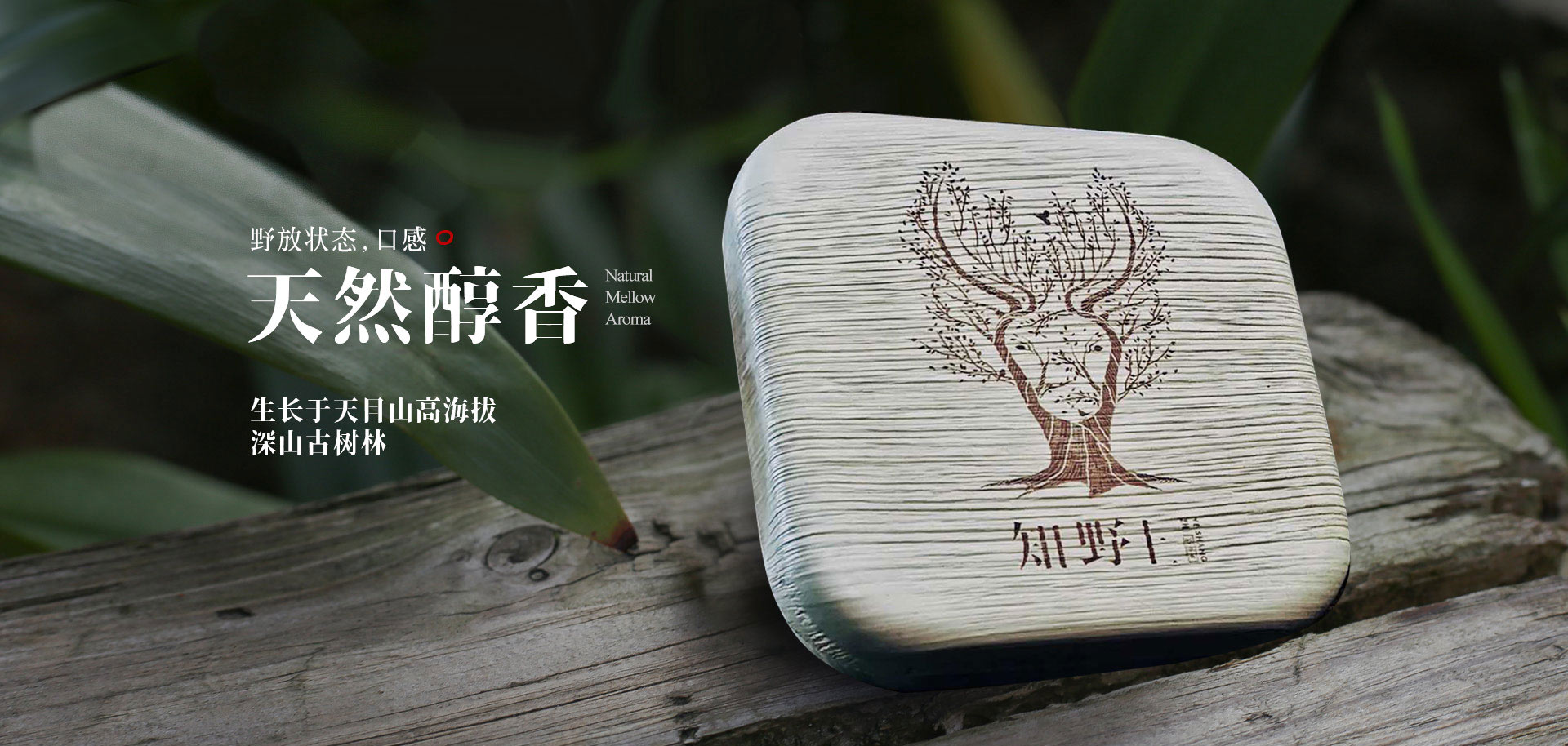 知野上礼品茶 天然醇香
