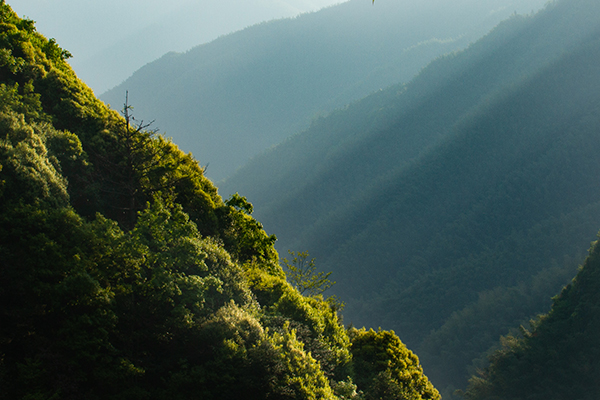 知野上—线下体验